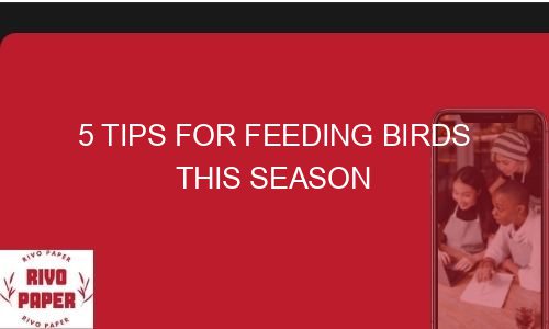 5 tips for feeding birds this season 5 tips for feeding birds this season 87740 1 - 5 tips for feeding birds this season